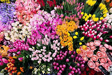 《羊蹄山之魂》10月2日发售 5月2日开启预购