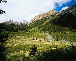 《游戏王：大师决斗》下载量突破6000万 登陆送宝石